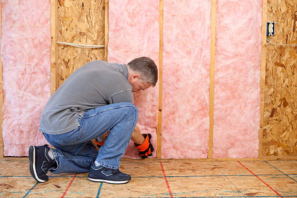 Best Blown-In Insulation  in Belton, TX