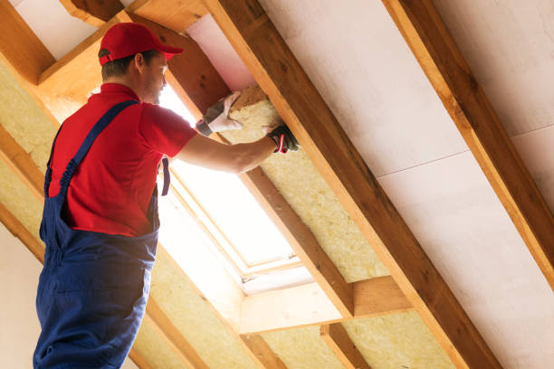 Types of Insulation We Offer in Belton, TX